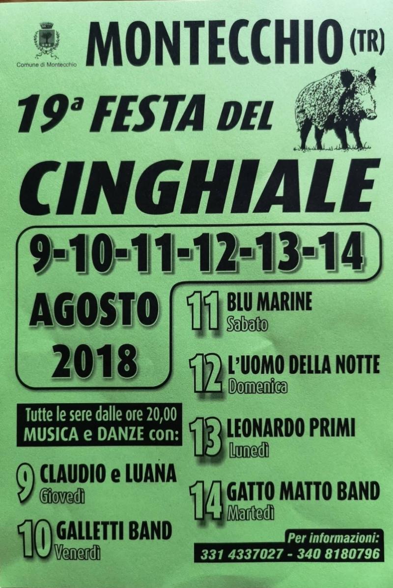 19^ Sagra del cinghiale di Montecchio - 2018